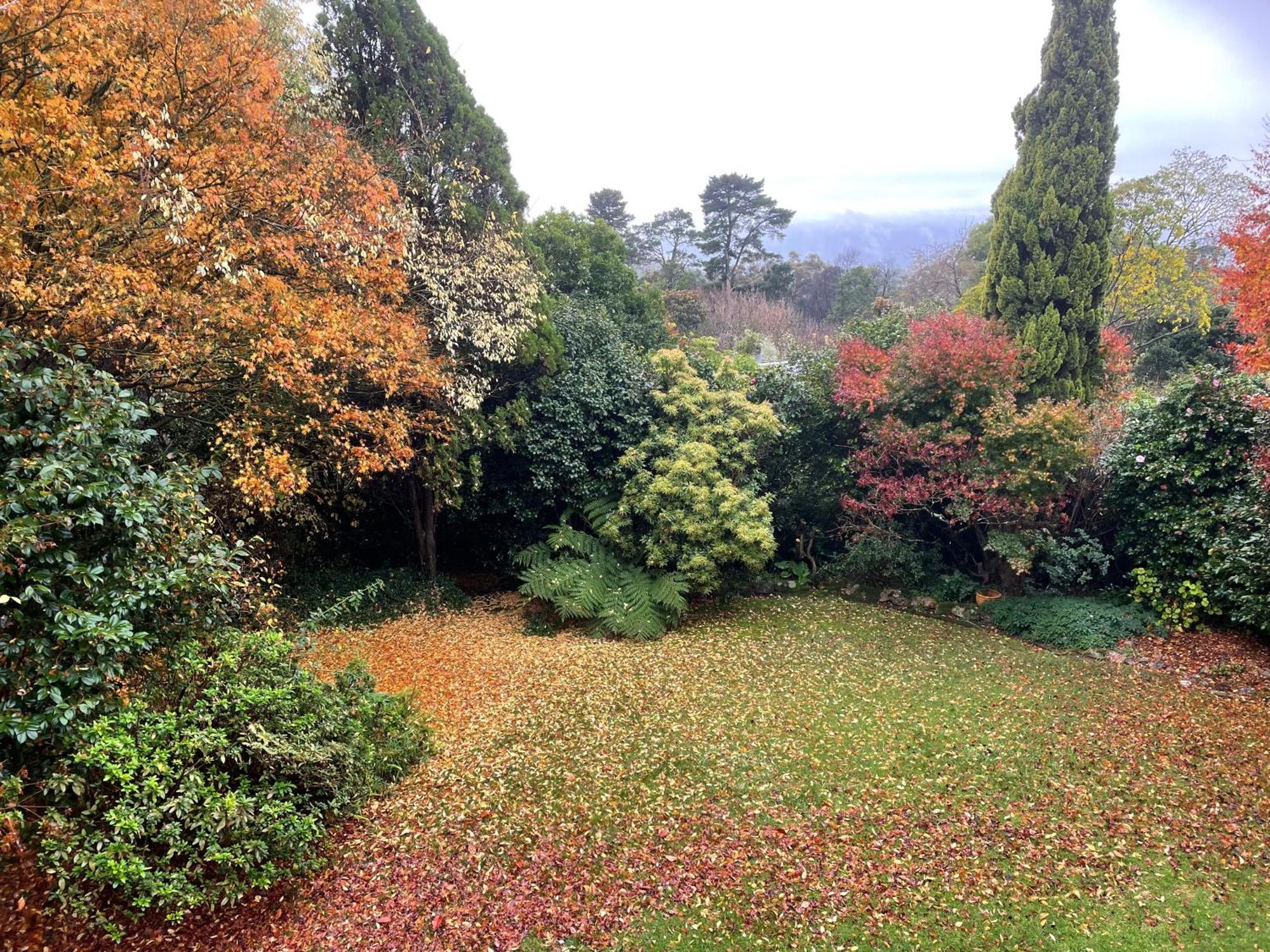 Mountain Sojourn - Tranquil Kurrajong Getaway公寓 外观 照片