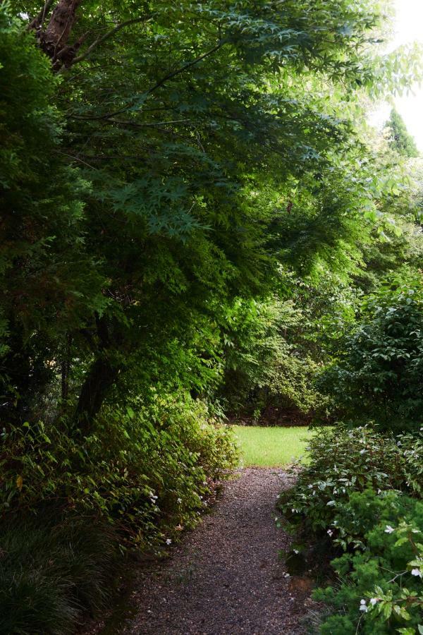 Mountain Sojourn - Tranquil Kurrajong Getaway公寓 外观 照片